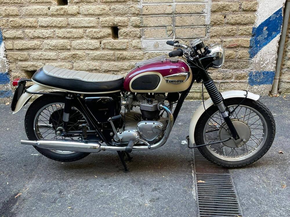 Triumph Bonneville T120 (3)