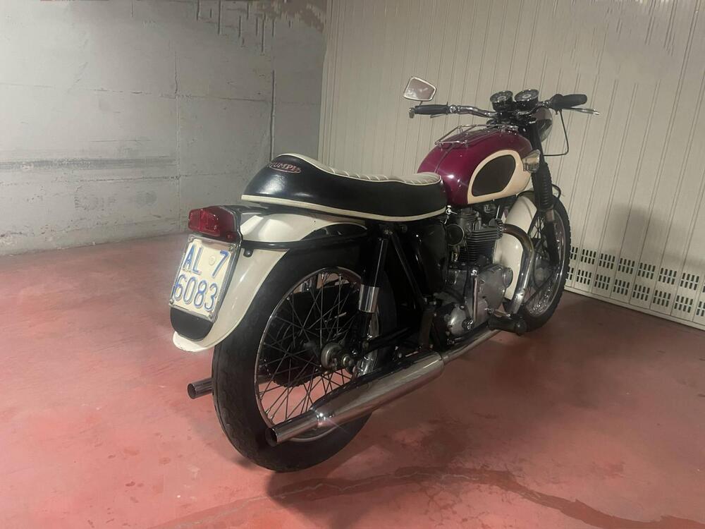 Triumph Bonneville T120 (5)