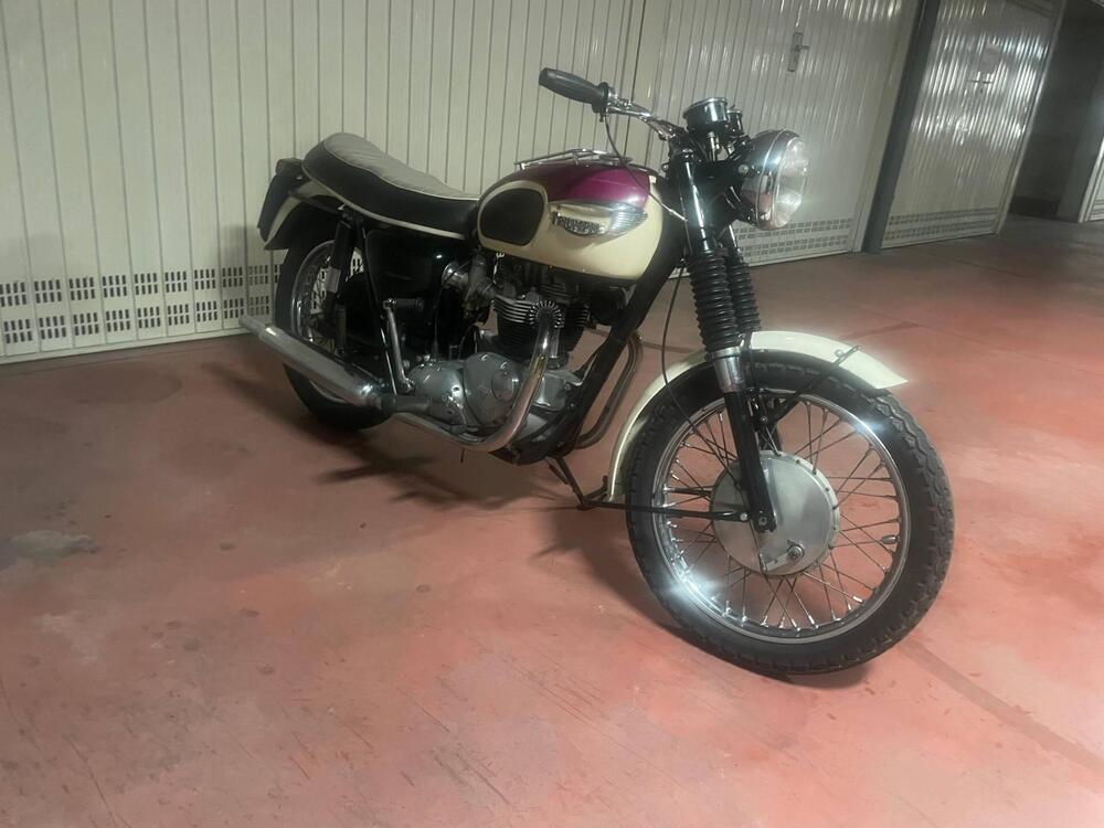 Triumph Bonneville T120 (6)