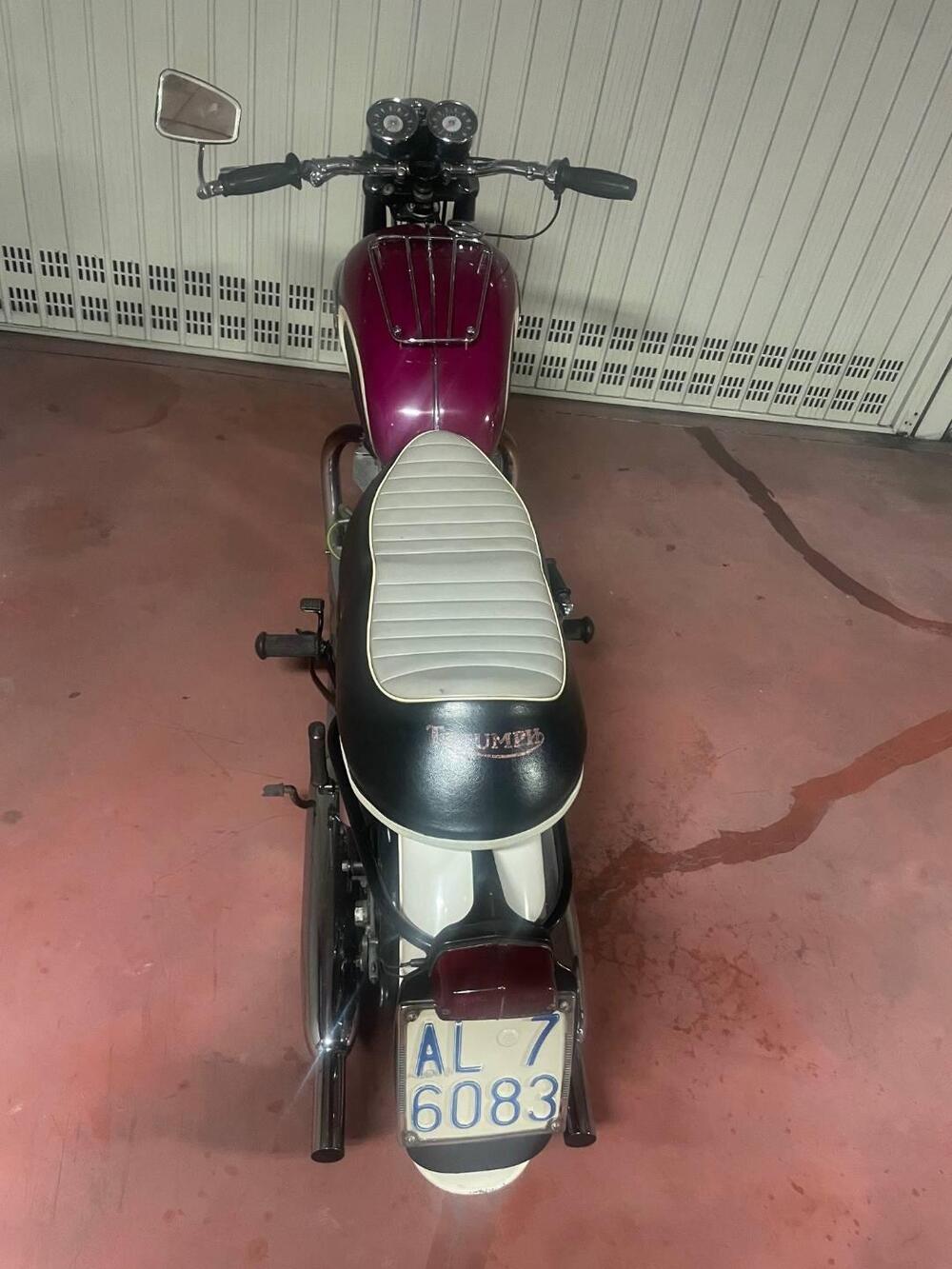 Triumph Bonneville T120 (7)