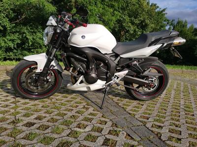 Yamaha FZ6 S2 (2007 - 11) usata