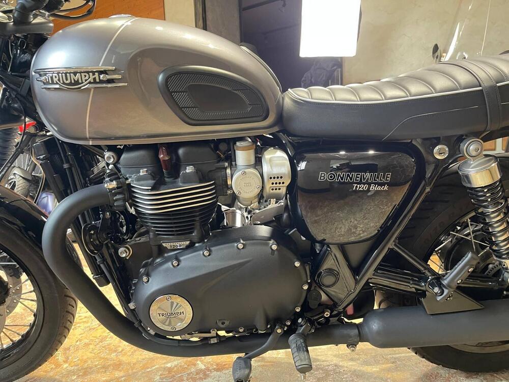Triumph Bonneville T120 Black (2021 - 25) (16)