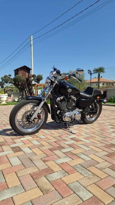 Harley-Davidson 1200 Low (2006 - 07) - XL 1200L usata