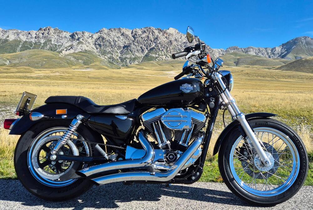 Harley-Davidson 1200 Low (2006 - 07) - XL 1200L (7)