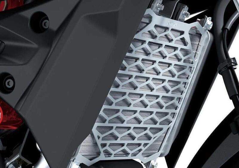 Kawasaki Ninja 500 Ninja 500 Performance Remus (2026) (9)