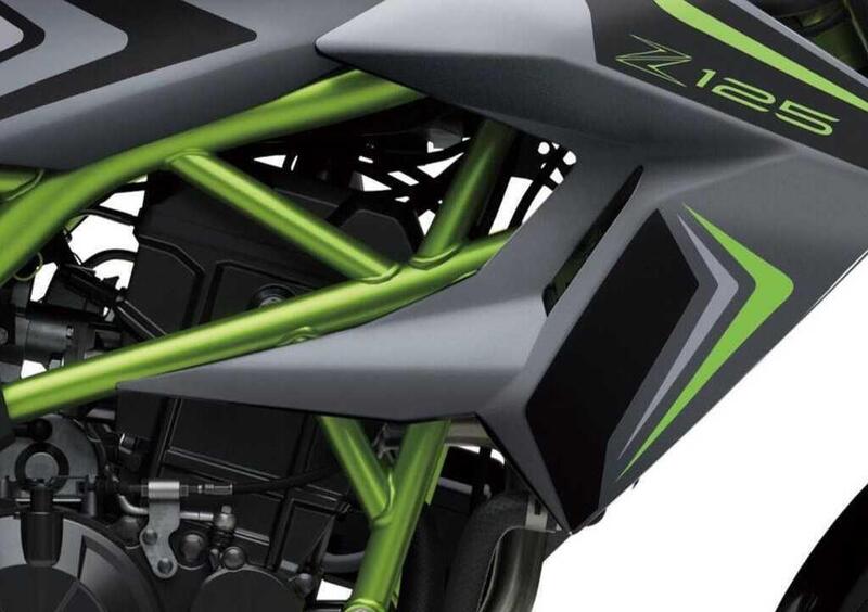 Kawasaki Z 125 Z 125 Performance (2026) (3)