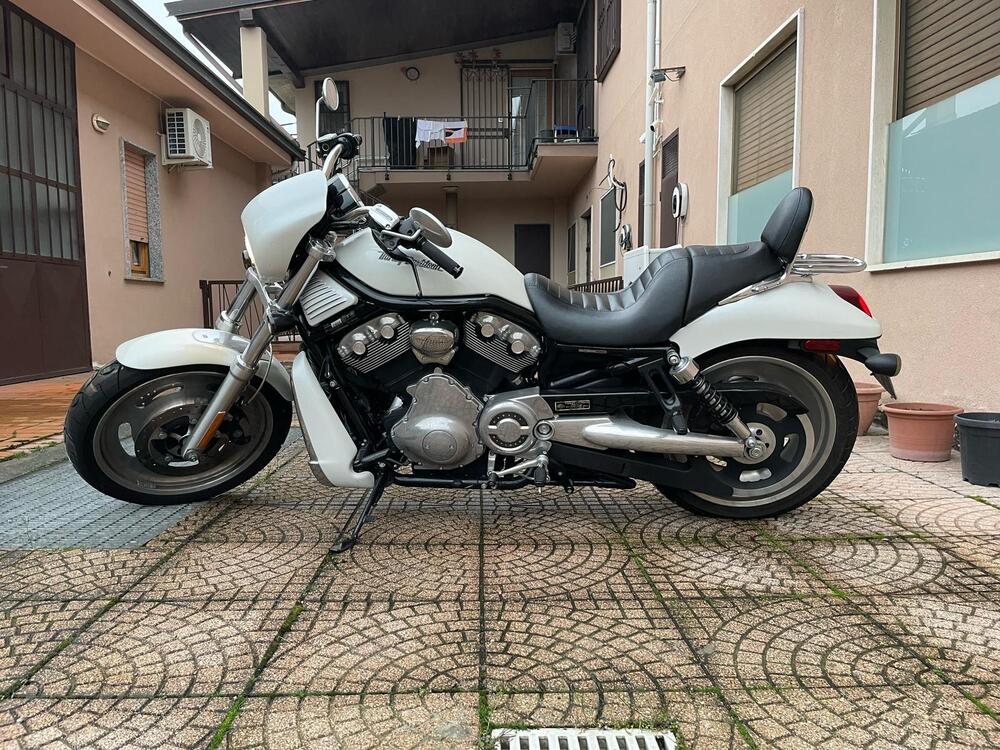 Harley-Davidson 1130 Night Rod Special (2006 - 07) - VRSCDX (2)