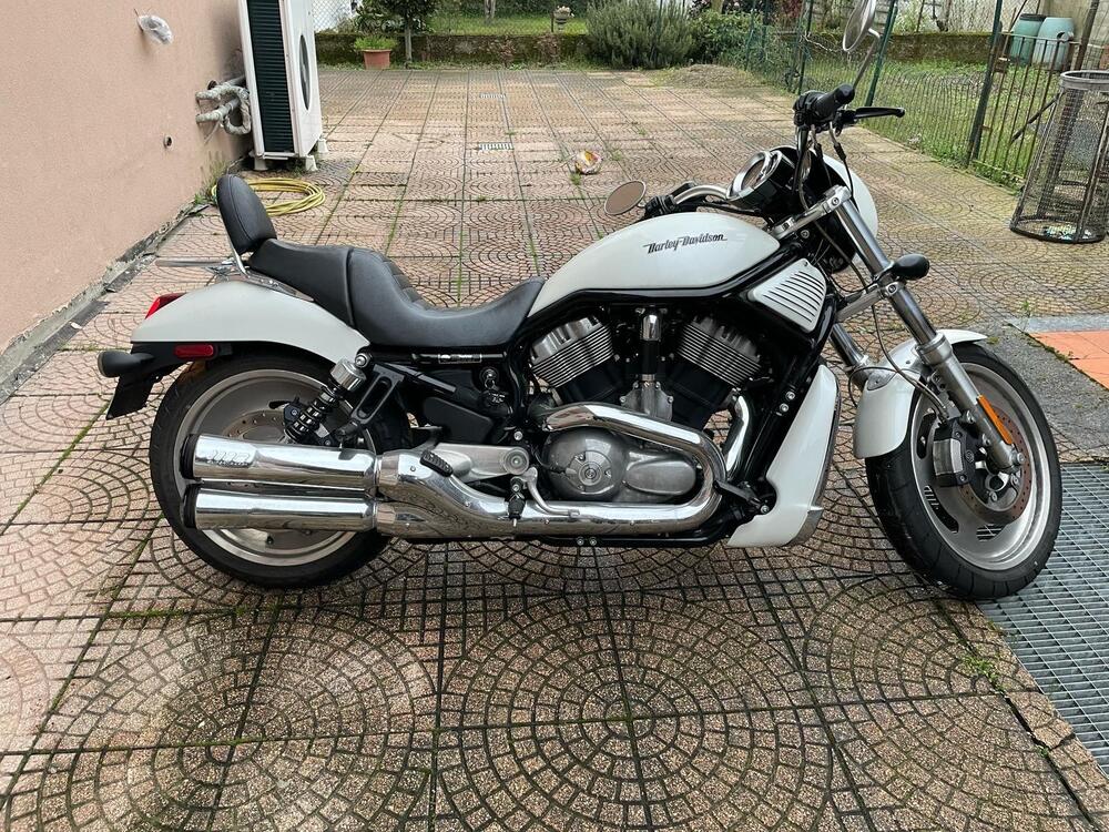 Harley-Davidson 1130 Night Rod Special (2006 - 07) - VRSCDX