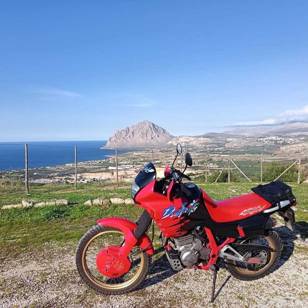 Honda Nx 650 Dominator (3)