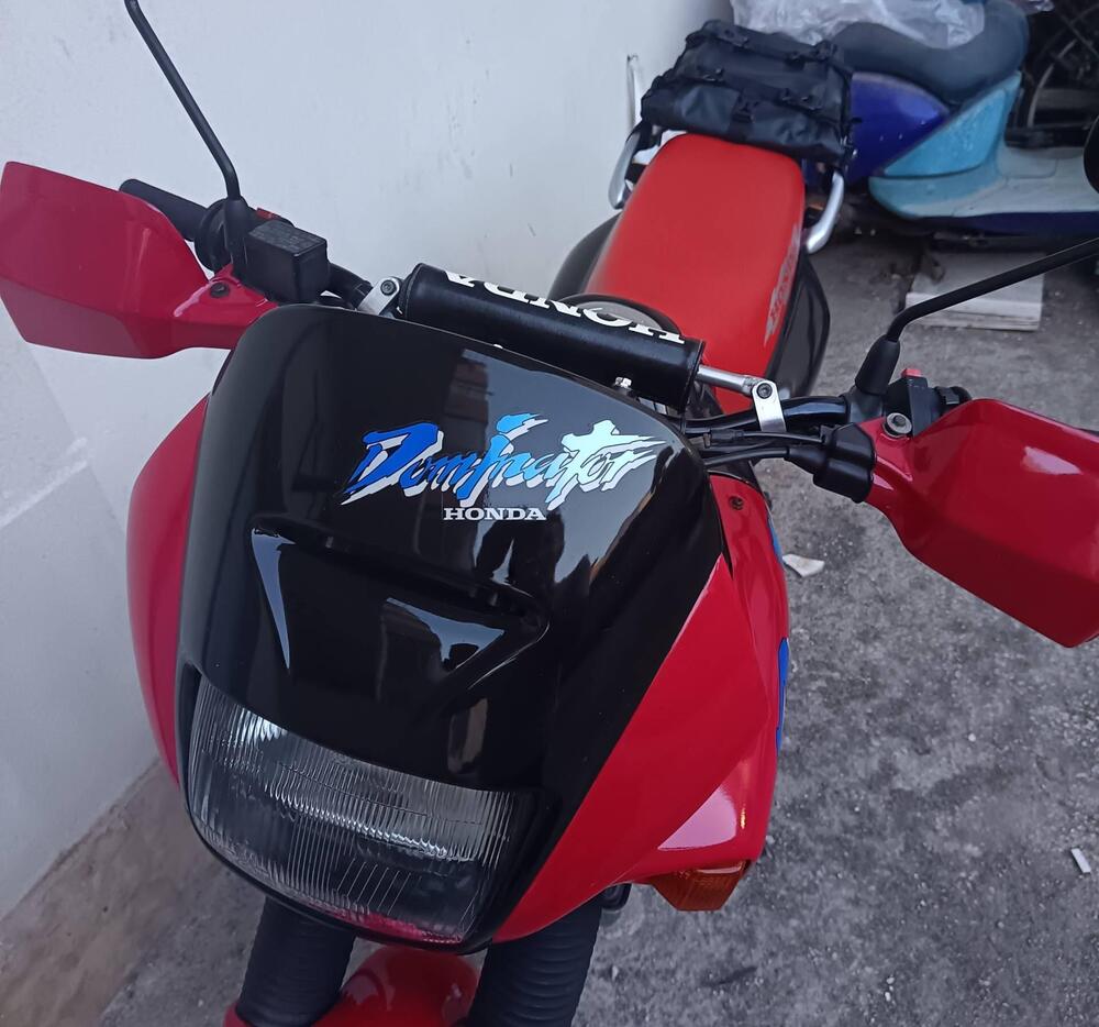 Honda Nx 650 Dominator (4)