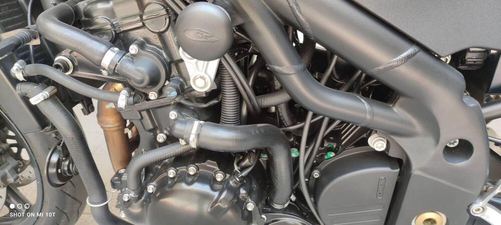 Triumph Speed Triple 955 (2002 - 04) (12)