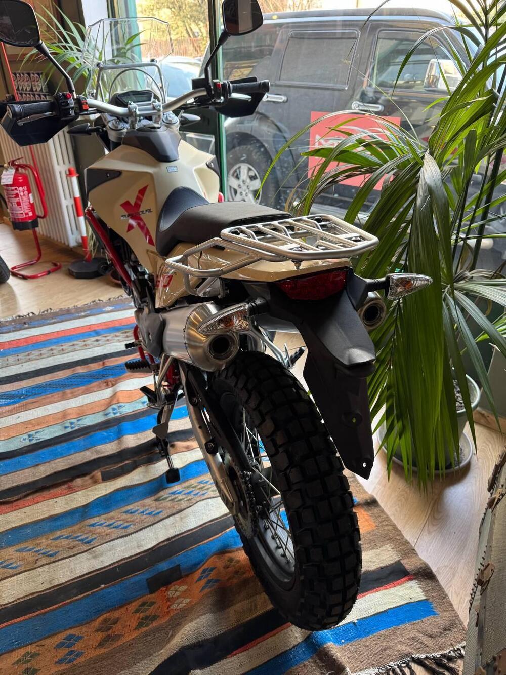 Swm Superdual 600 X (2025 - 26) (6)