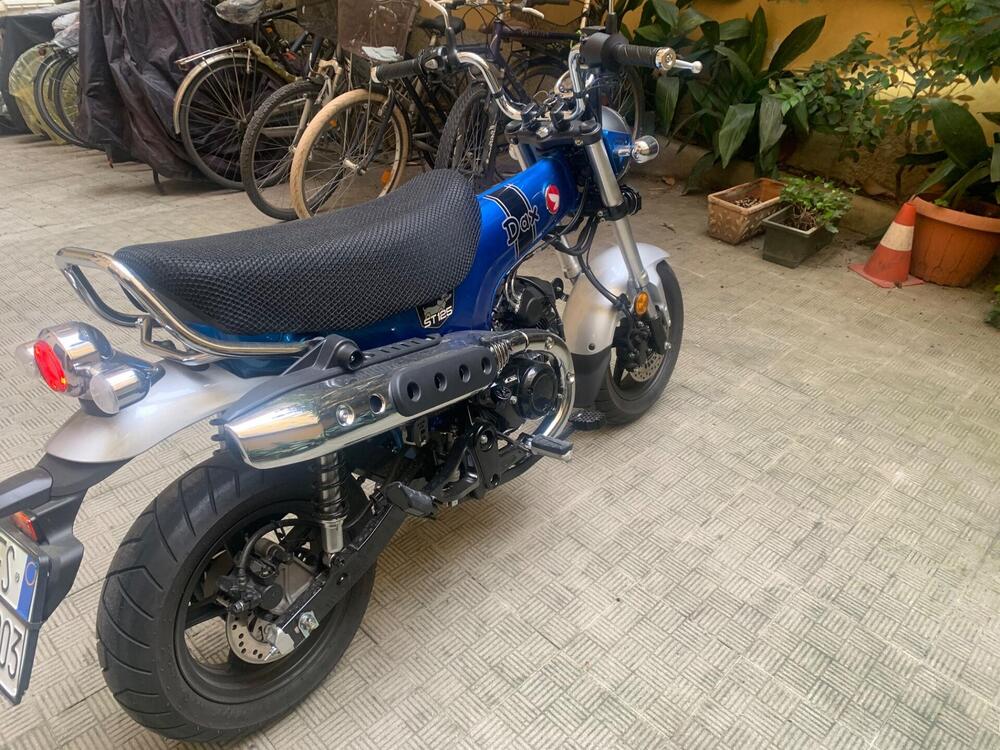 Honda Dax 125 (2025 - 26) (4)