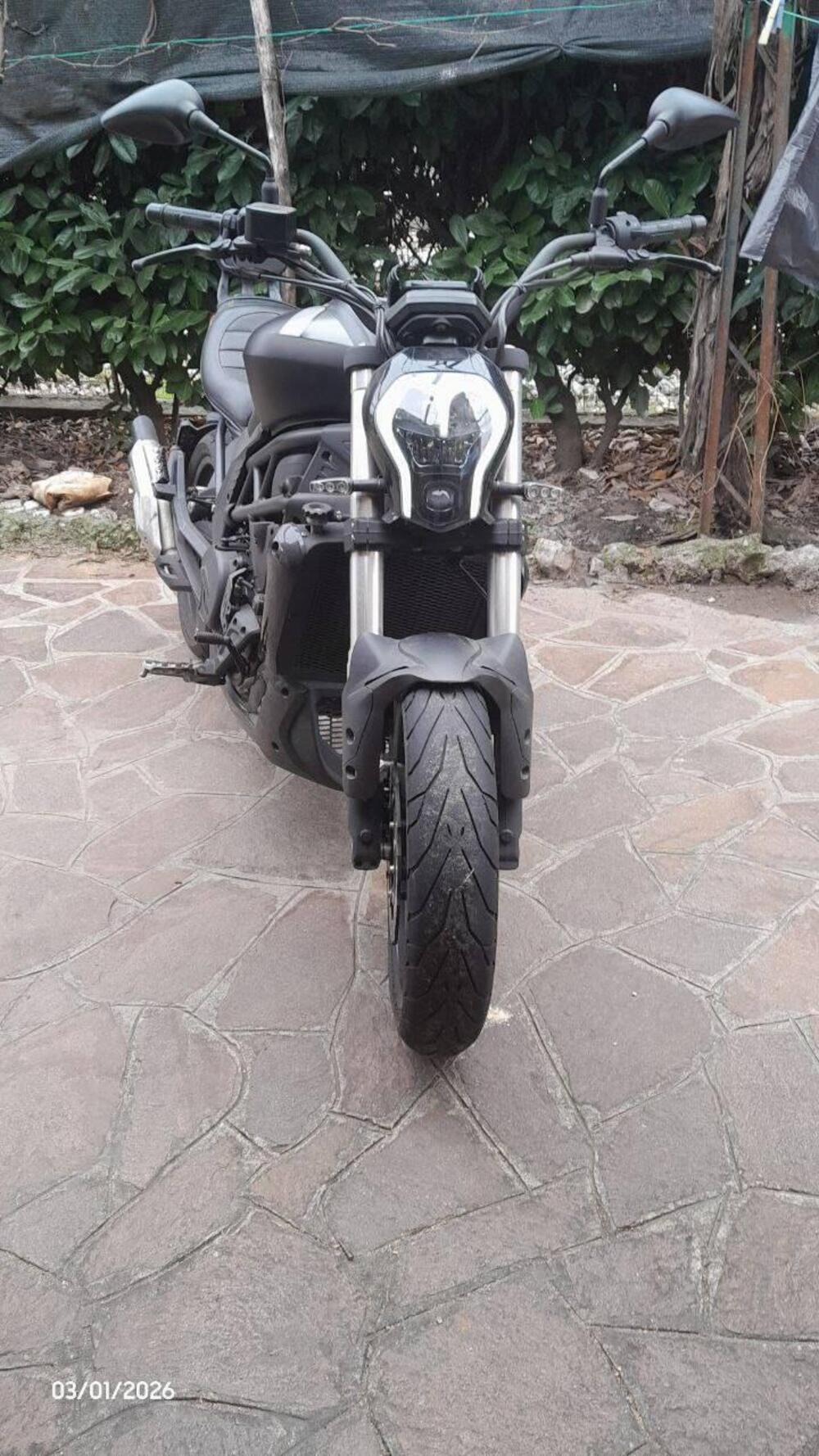 Benelli 502 C (2021 - 25) (3)