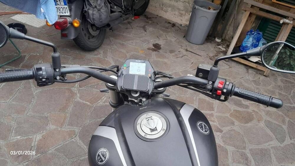 Benelli 502 C (2021 - 25) (5)