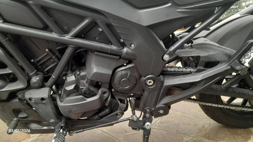 Benelli 502 C (2021 - 25) (6)
