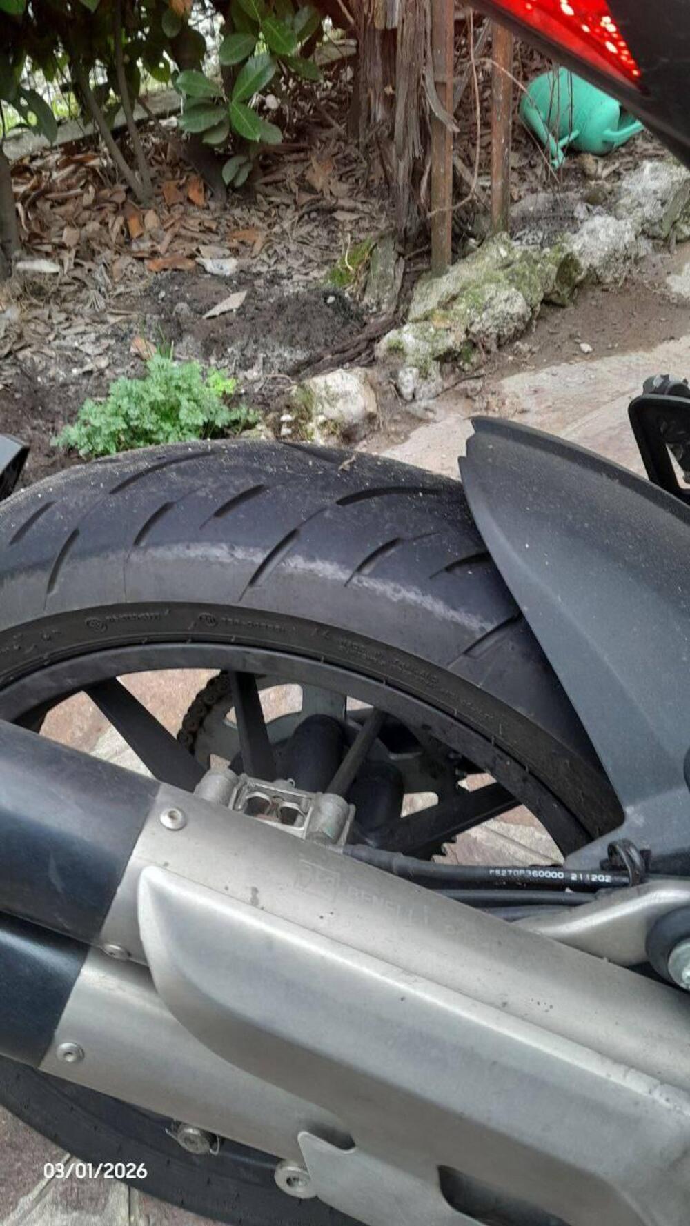 Benelli 502 C (2021 - 25) (9)