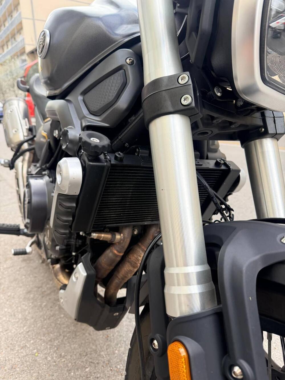 Voge Trofeo 525ACX Scrambler (2023 - 26) (6)