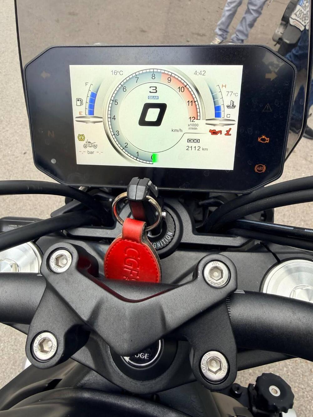 Voge Trofeo 525ACX Scrambler (2023 - 26) (10)