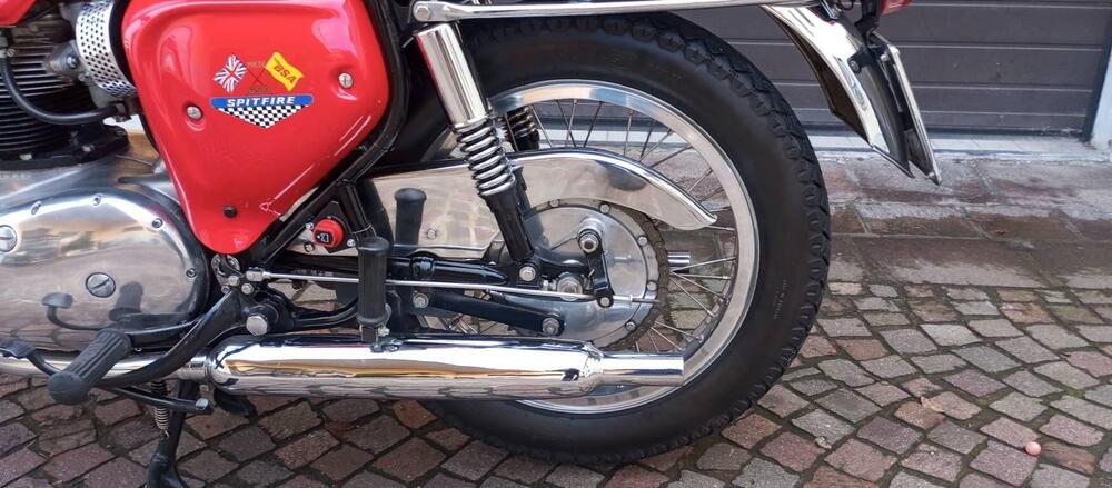Bsa A65 SPITFIRE MK4 (6)