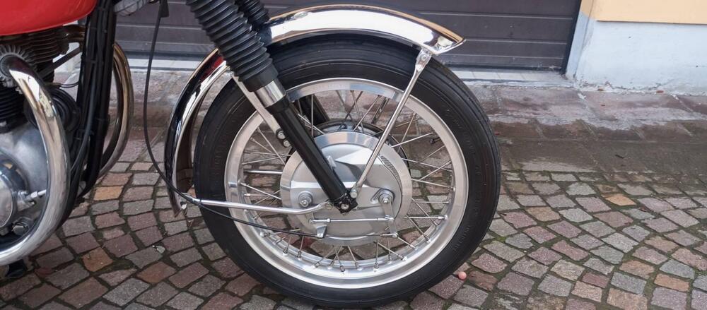 Bsa A65 SPITFIRE MK4 (10)