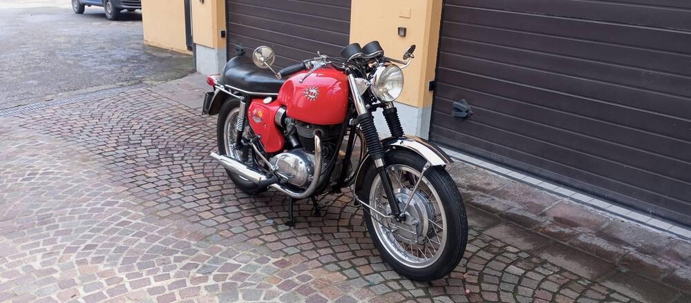 Bsa A65 SPITFIRE MK4 (20)