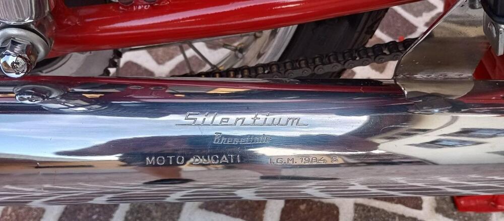 Ducati 250 MARK3 (10)