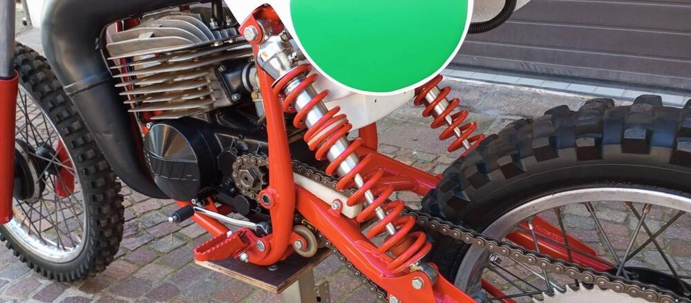 Maer 250 cross  (12)