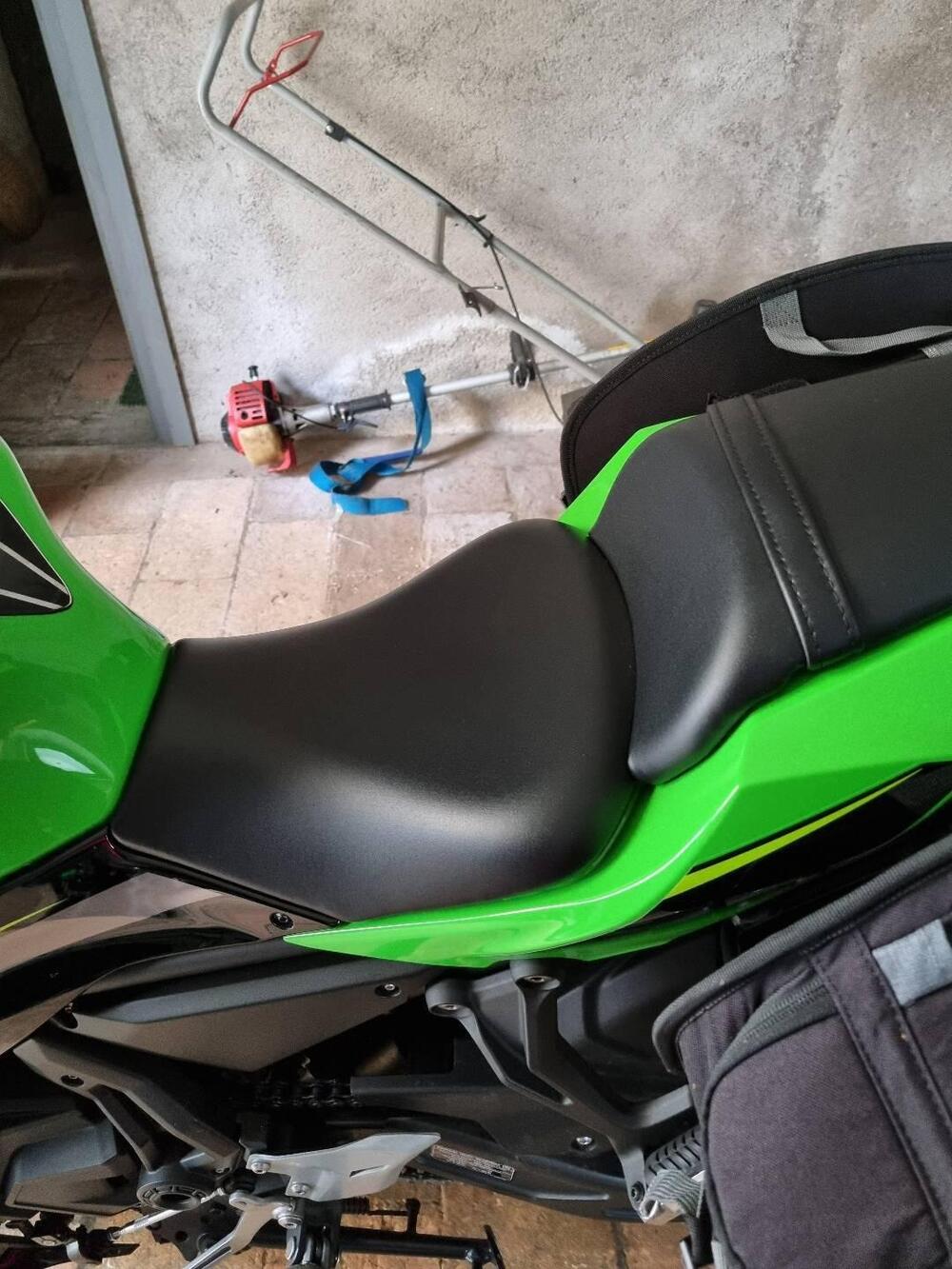 Kawasaki Ninja 650 KRT Edition (2017 - 19) (6)