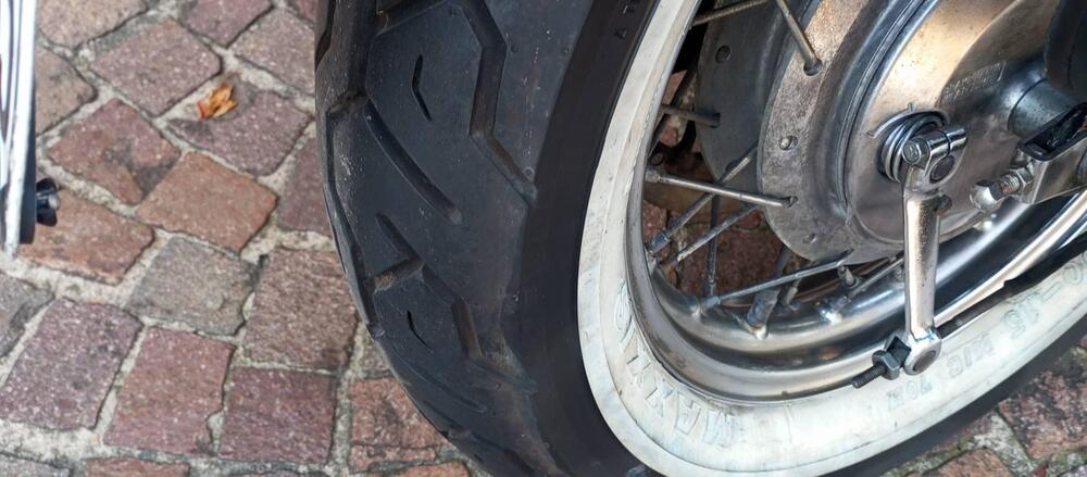 Suzuki SAVAGE 650 (13)