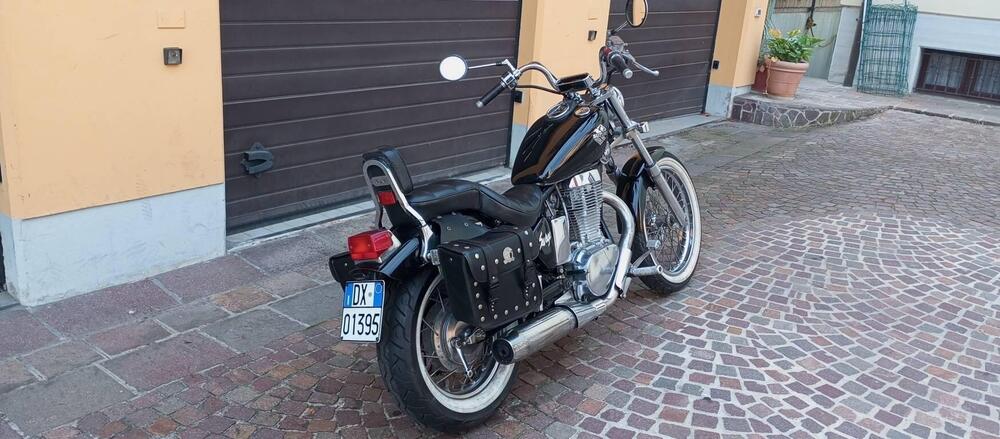 Suzuki SAVAGE 650 (20)