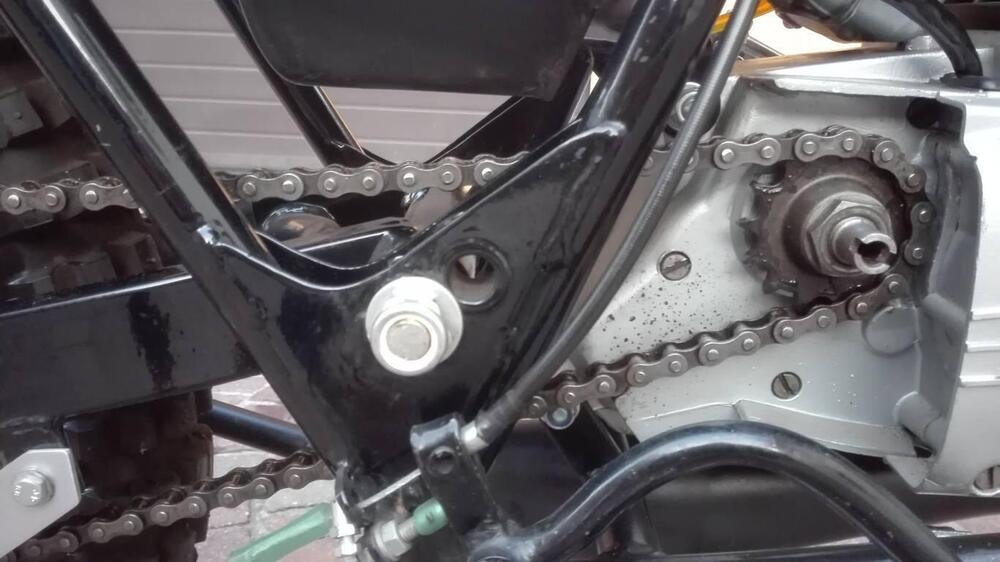 Tgm 50 Coppa Italia (10)