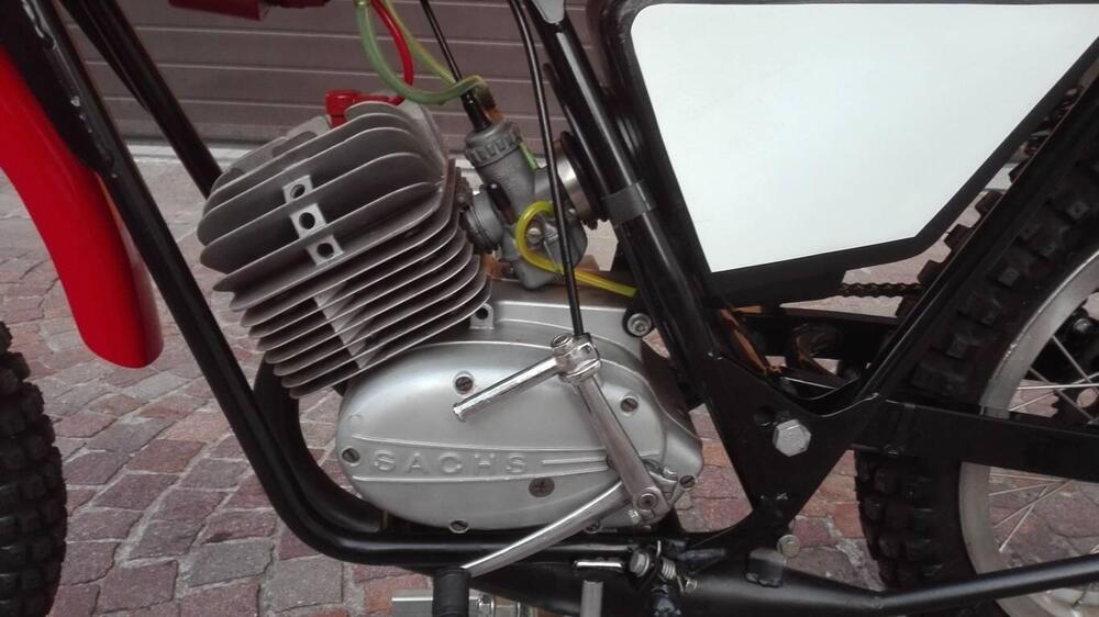 Tgm 50 Coppa Italia (15)