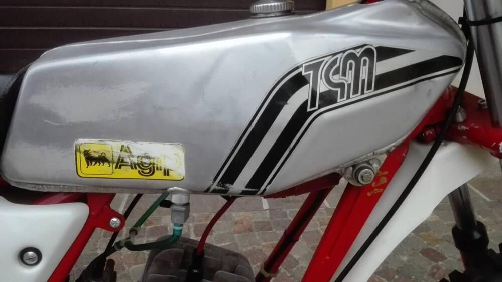 Tgm 50 ex ufficiale Dal Ferro (10)