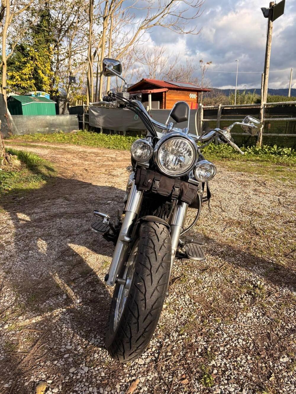 Kawasaki Vulcan VN 900 Classic (2006 - 10) (4)