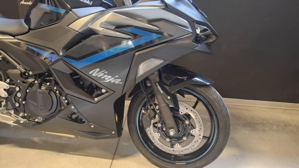 Kawasaki Ninja 500 SE (2024 - 26) (7)