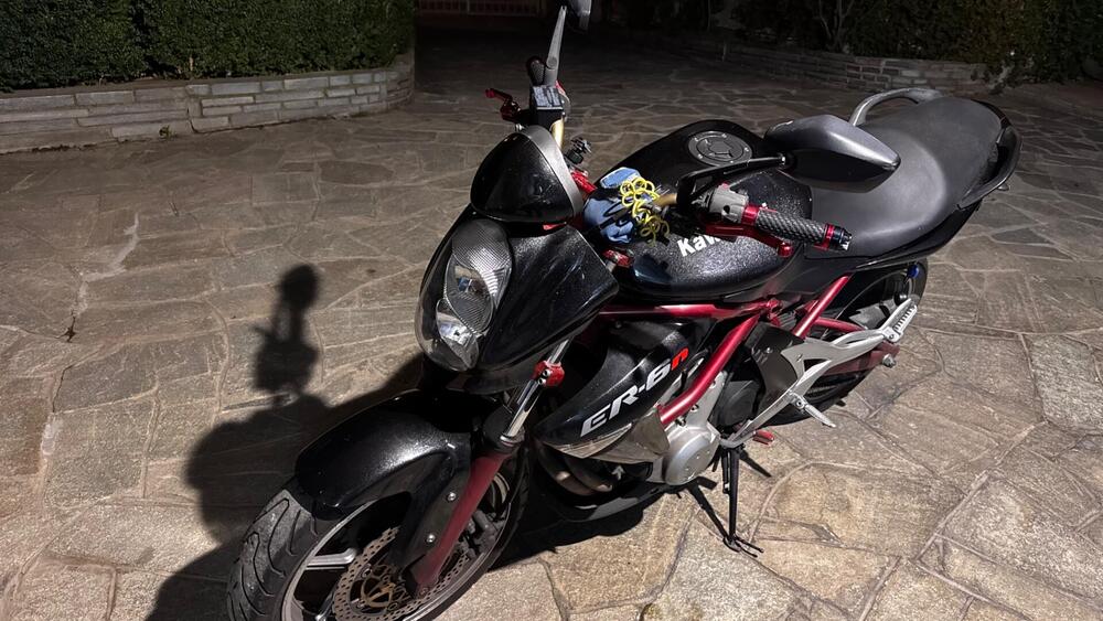 Kawasaki ER-6N (2005 - 08) (3)