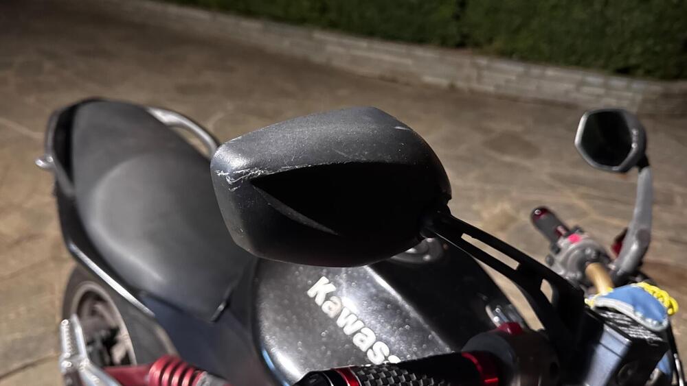 Kawasaki ER-6N (2005 - 08) (13)