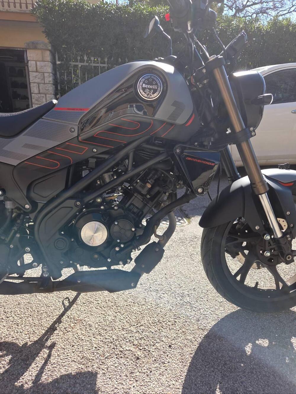 Benelli Leoncino 125 (2022 - 25)