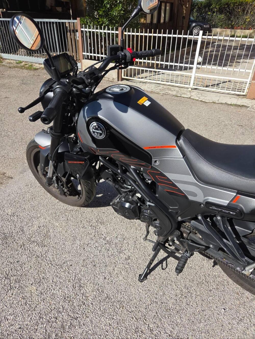 Benelli Leoncino 125 (2022 - 25) (3)
