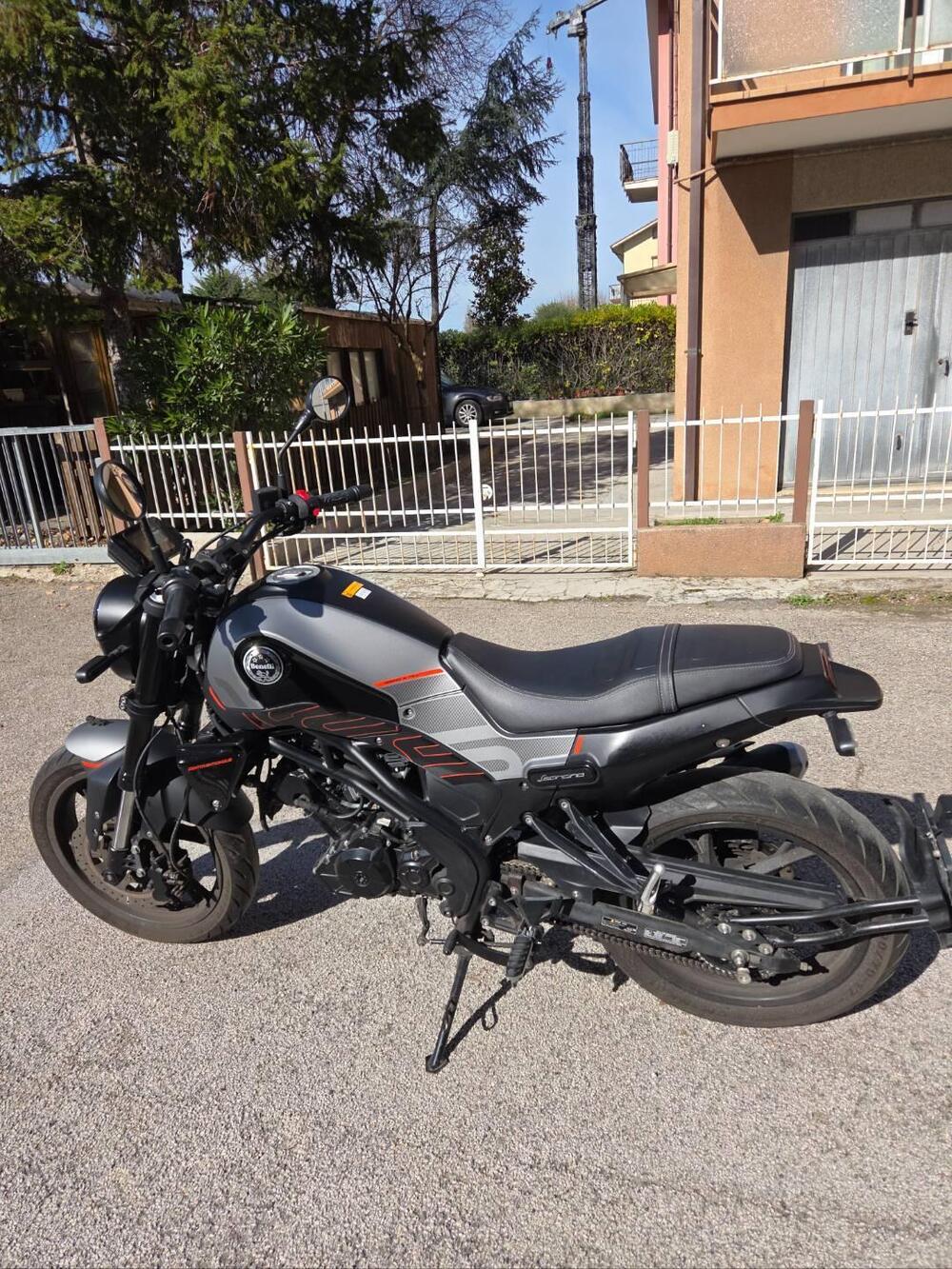Benelli Leoncino 125 (2022 - 25) (9)