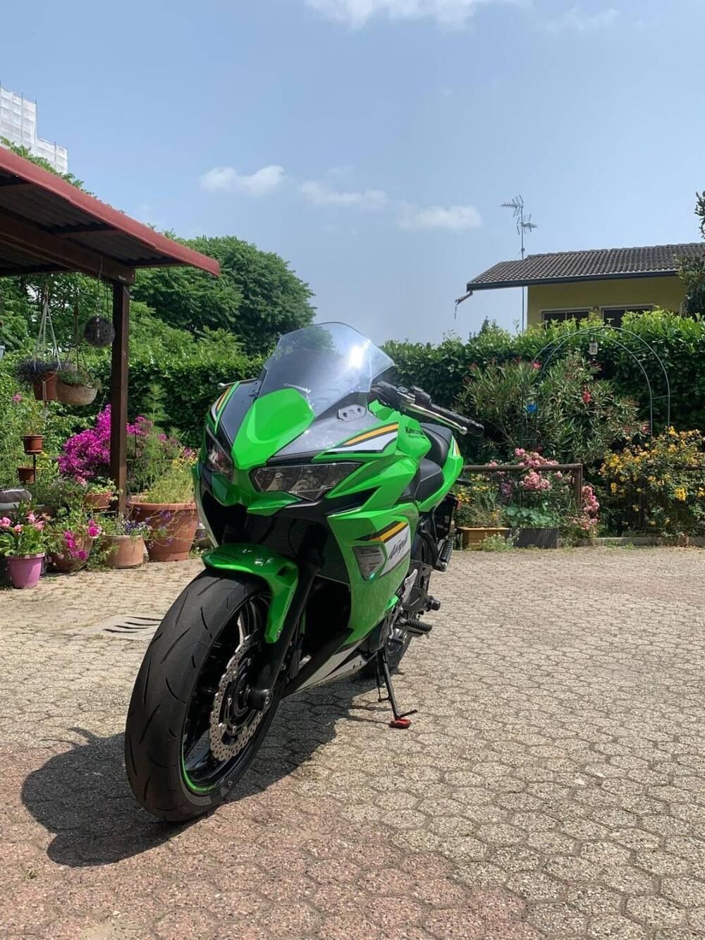 Kawasaki Ninja 650 (2025 - 26) (6)