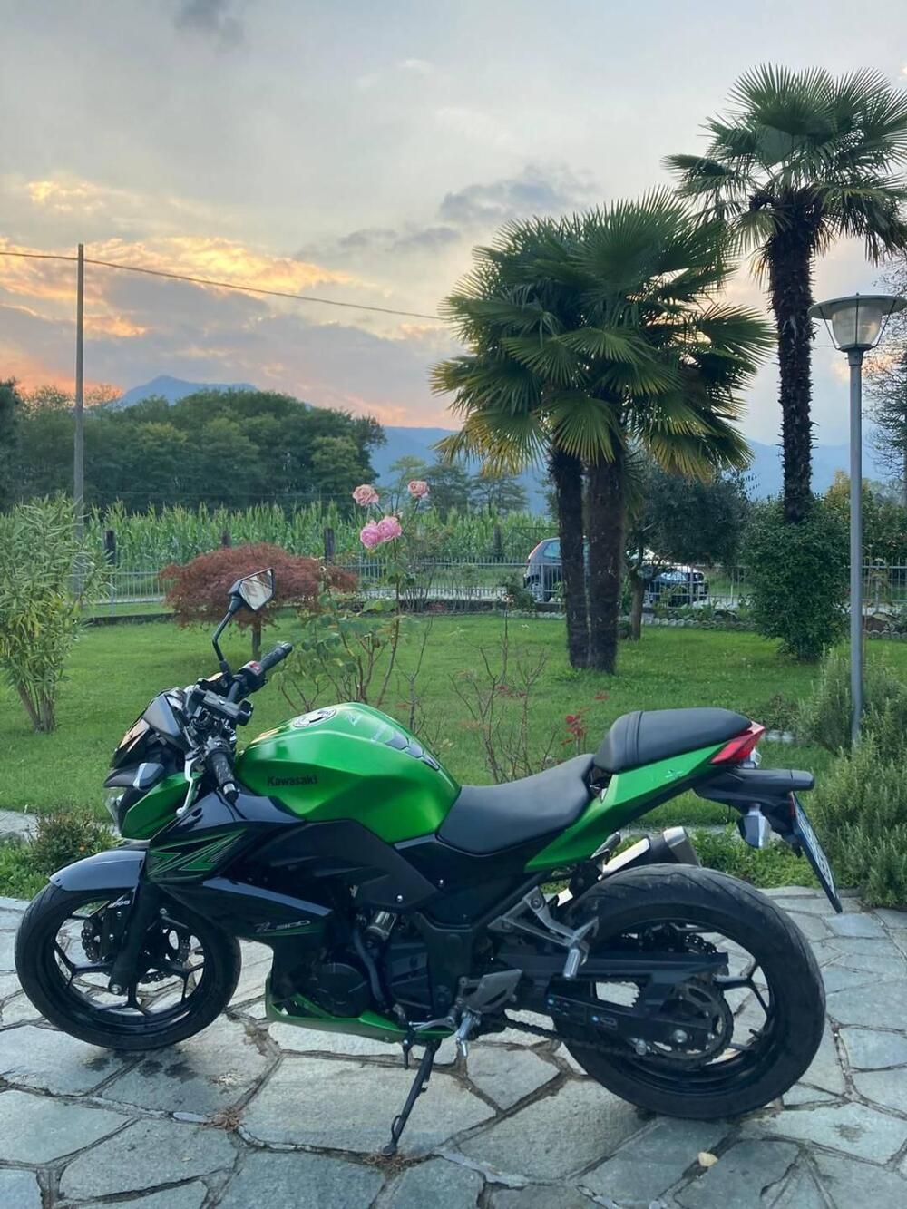 Kawasaki Z 300 ABS (2015 - 16) (4)