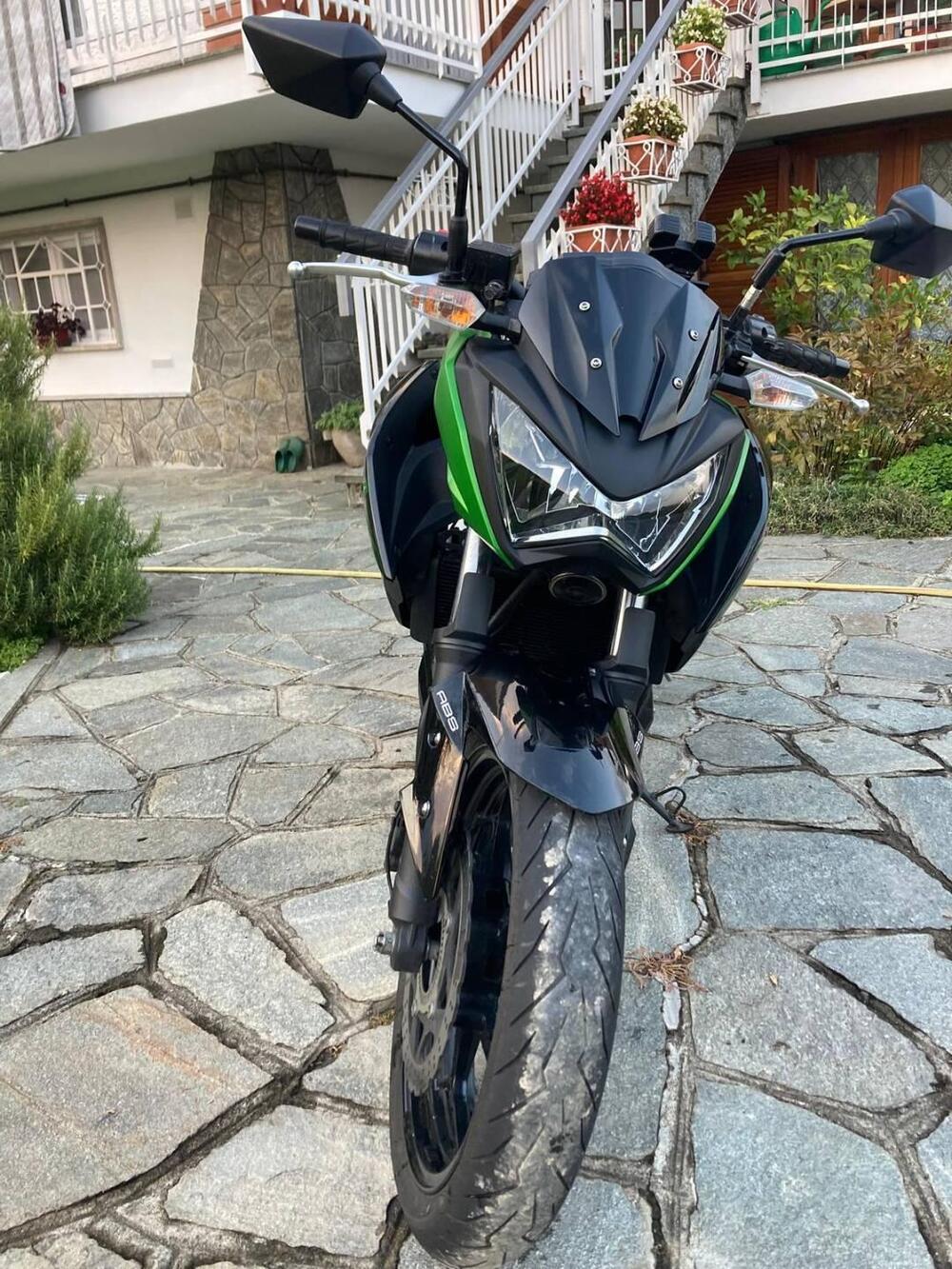 Kawasaki Z 300 ABS (2015 - 16) (5)