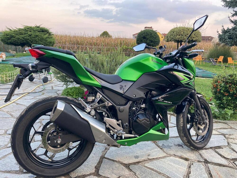Kawasaki Z 300 ABS (2015 - 16) (6)