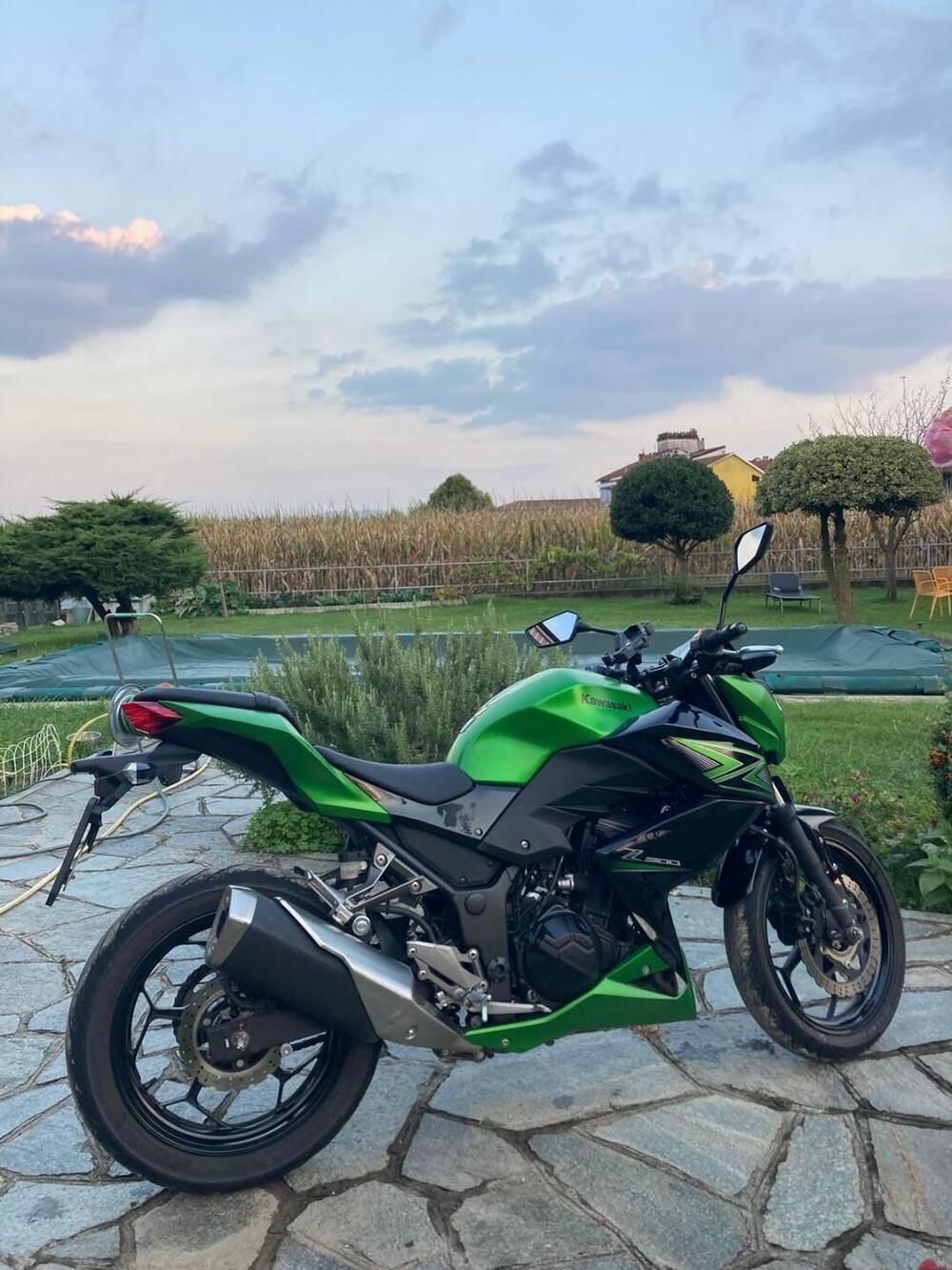 Kawasaki Z 300 ABS (2015 - 16) (7)