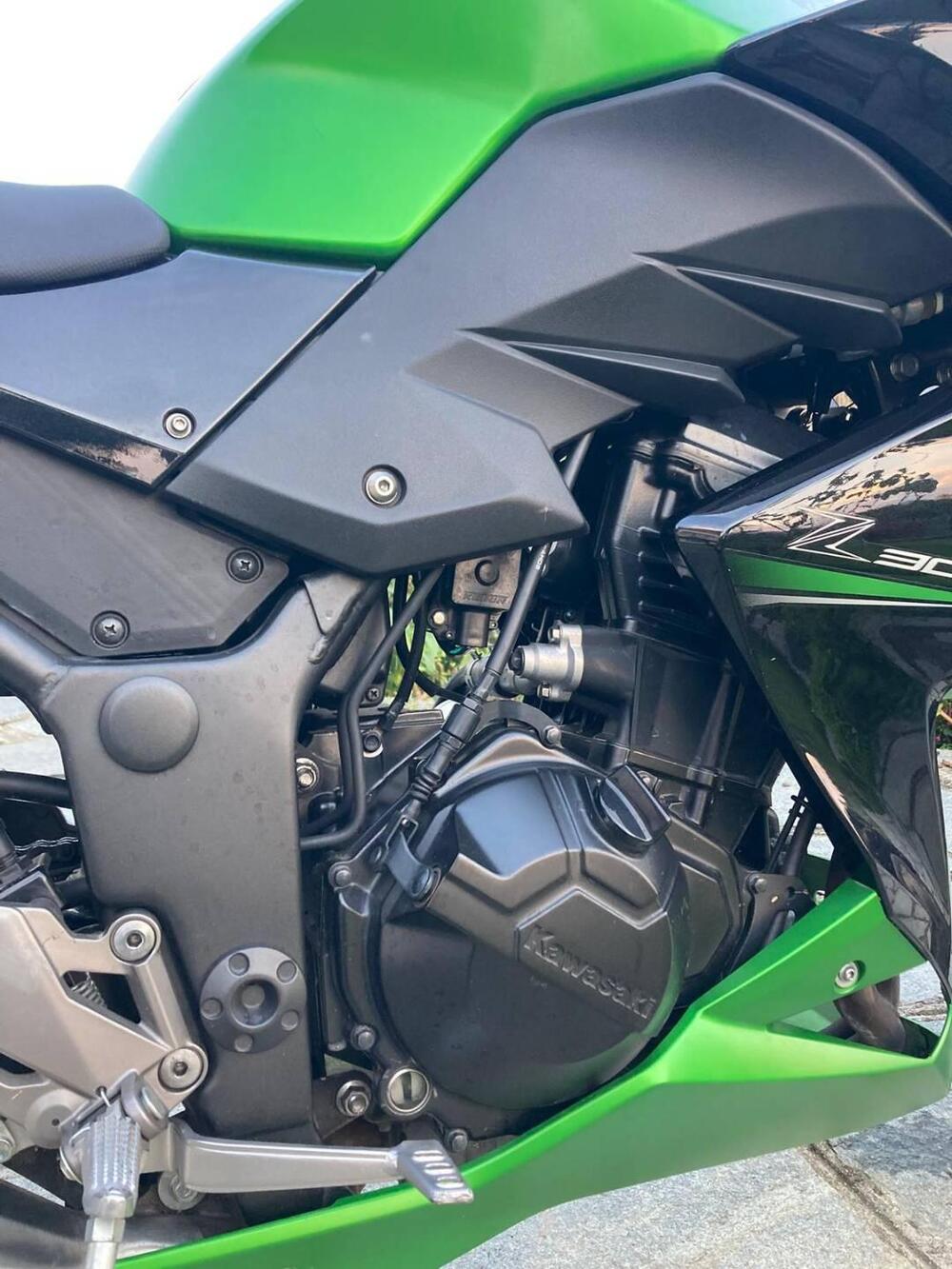 Kawasaki Z 300 ABS (2015 - 16) (8)