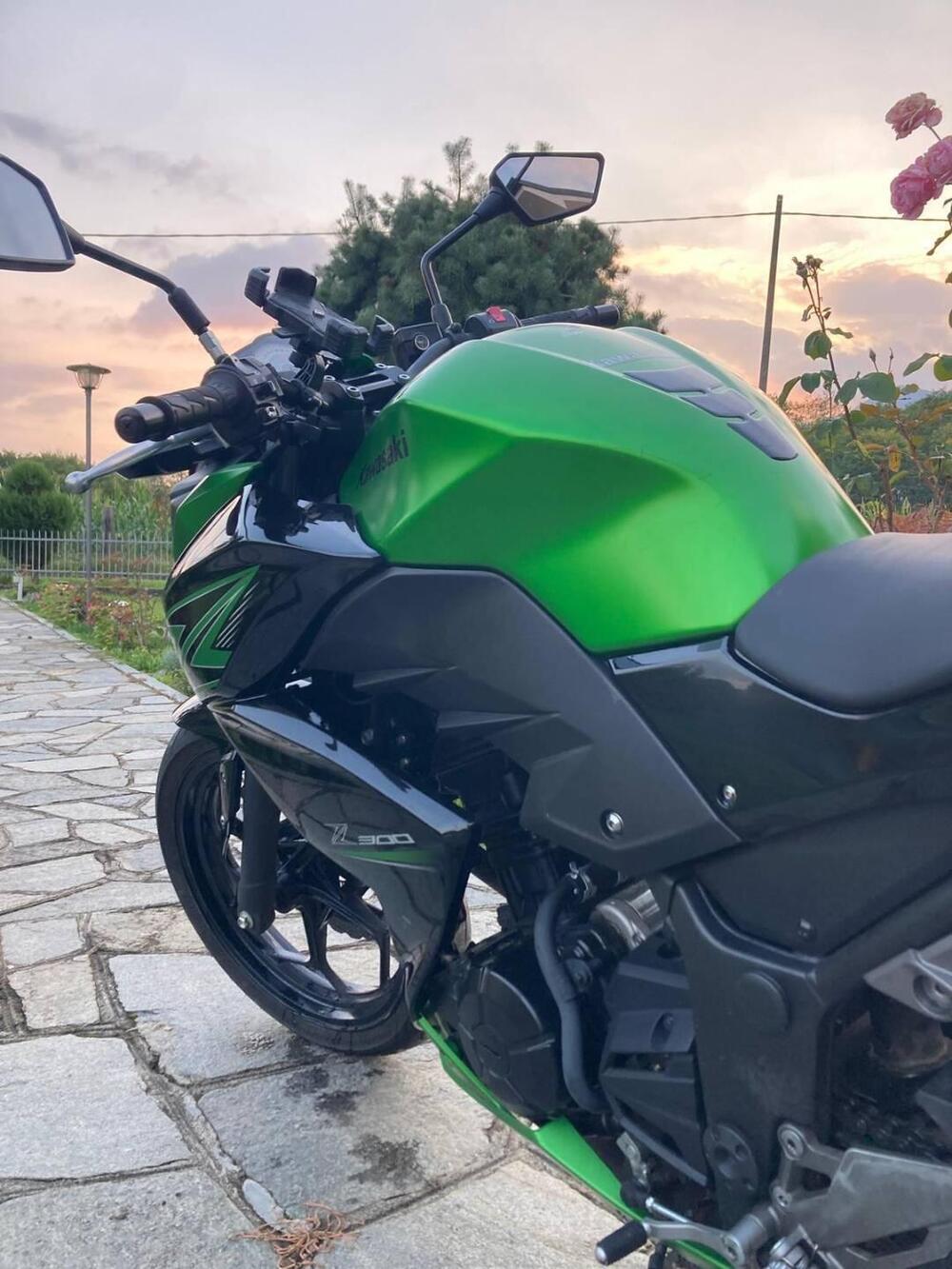 Kawasaki Z 300 ABS (2015 - 16) (9)
