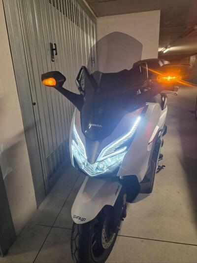 Honda Forza 300 Limited Edition ABS (2020) usata