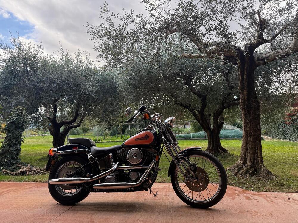 Harley-Davidson 1340 Springer (1990 - 98) - FXSTS (2)